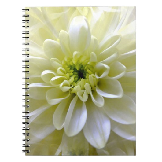 CHRYSANTHEMUM NOTITIEBOEK (Voorkant)