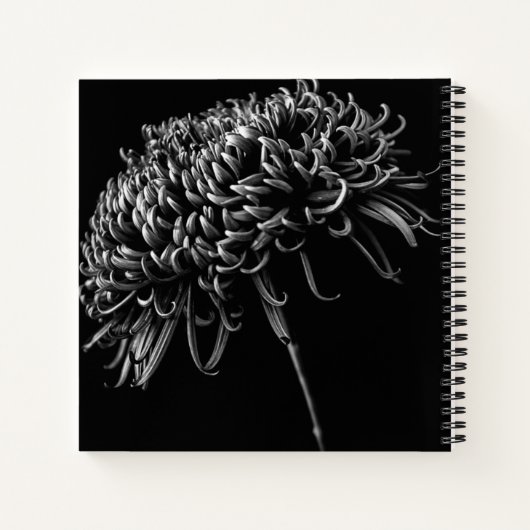 Chrysanthemum Notitieboek (Achterkant)