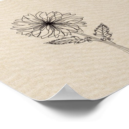 Chrysanthemum november: Bloem Poster (Hoek)