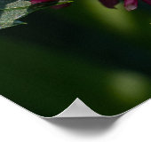 Chrysanthemum Oranje Canadese Bloemfotografie Poster (Hoek)