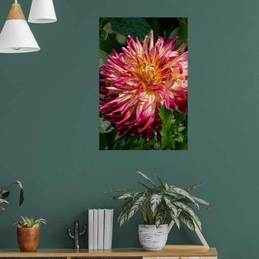 Chrysanthemum Oranje Canadese Bloemfotografie Poster (Woonkamer 1)