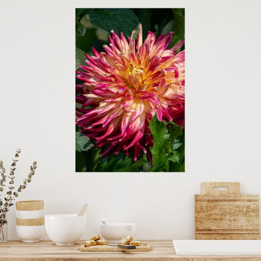 Chrysanthemum Oranje Canadese Bloemfotografie Poster (Keuken)