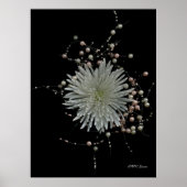 Chrysanthemum & Pearls Poster (Voorkant)