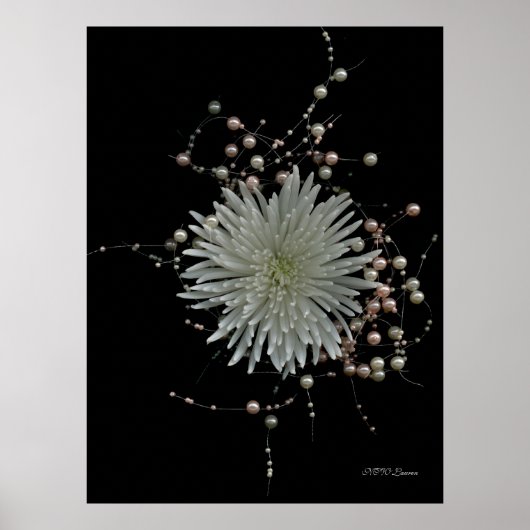 Chrysanthemum & Pearls Poster (Voorkant)