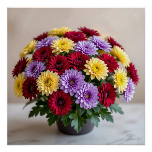 Chrysanthemum Perfect Poster (Voorkant)