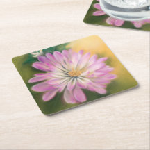 Chrysanthemum Pink en Cream Floral Pastel