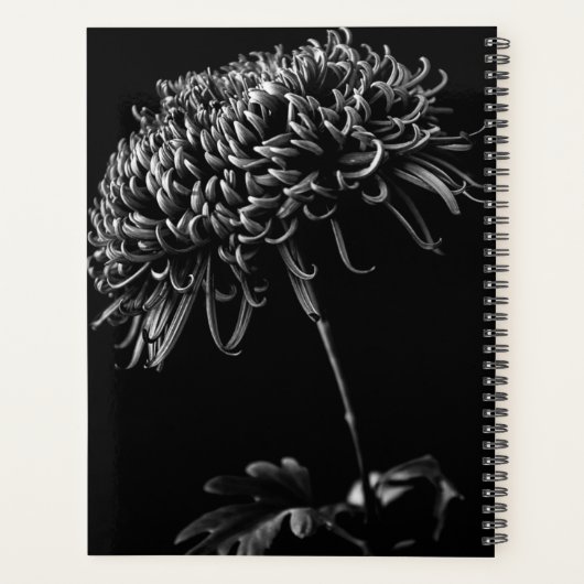 Chrysanthemum Planner (Achterkant)