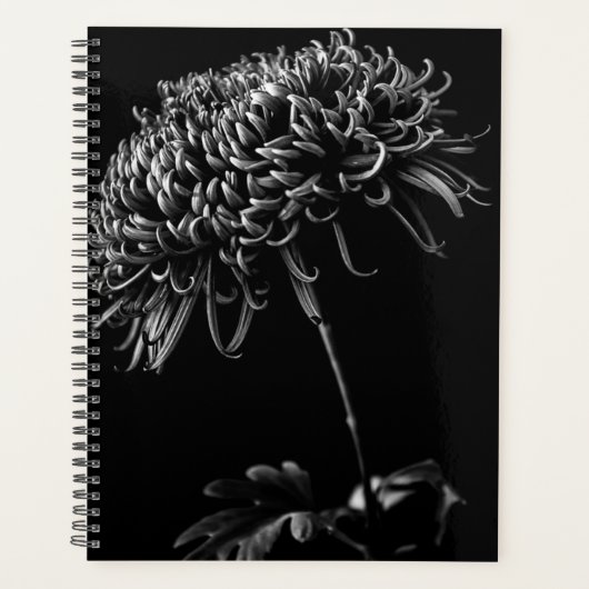 Chrysanthemum Planner (Voorkant)