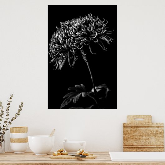 Chrysanthemum Poster (Keuken)