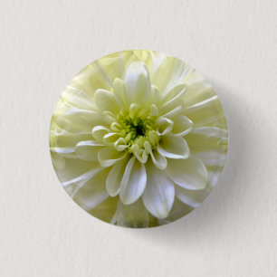 CHRYSANTHEMUM RONDE BUTTON 3,2 CM