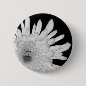 Chrysanthemum Ronde Button 5,7 Cm (Voorkant)