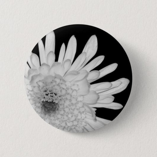 Chrysanthemum Ronde Button 5,7 Cm (Voorkant)