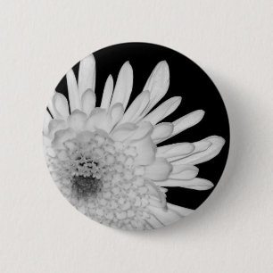 Chrysanthemum Ronde Button 5,7 Cm