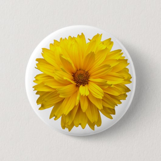 Chrysanthemum Ronde Button 5,7 Cm (Voorkant)