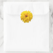 Chrysanthemum Ronde Sticker (Tas)