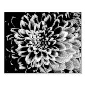 Chrysanthemum Rubber Stamp Rubberstempel (Afrduk)