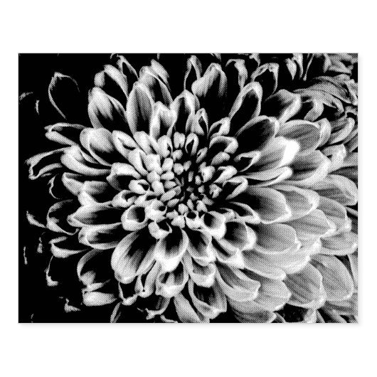 Chrysanthemum Rubber Stamp Rubberstempel (Afrduk)