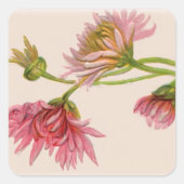 Chrysanthemum - Sticker (Voorkant)