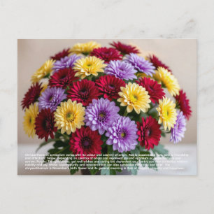 Chrysanthemum Symboliek Briefkaart