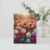 Chrysanthemum Symboliek Briefkaart (Staand voorkant)