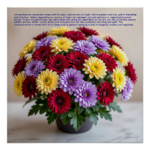 Chrysanthemum Symboliek Perfect Poster