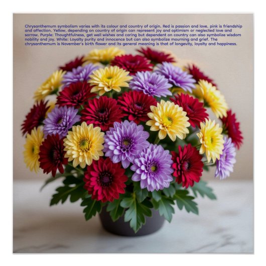 Chrysanthemum Symbolism Perfect Poster (Voorkant)