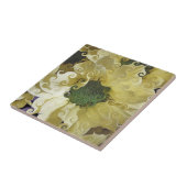 CHRYSANTHEMUM TEGELTJE (Zijkant)