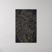 Chrysanthemum tuinbloemen zwart-oud metaal canvas afdruk (Voorkant)