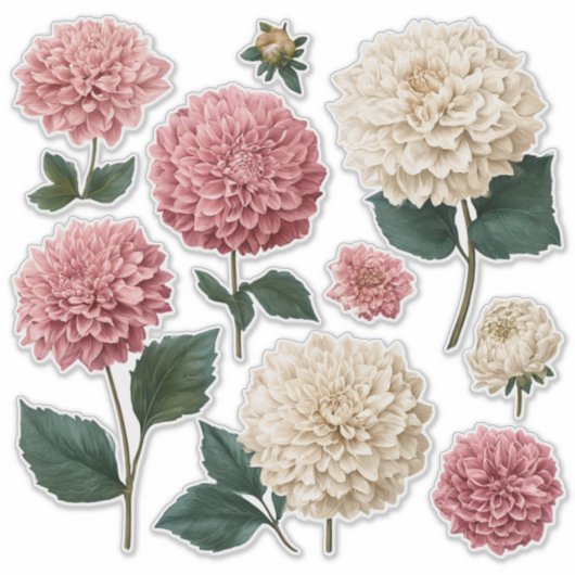 Chrysanthemum Vinyl Cut Stickers (Voorkant)
