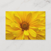 Chrysanthemum Visitekaartje (Achterkant)