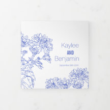 Chrysanthemum witte blauwe bloem tekening