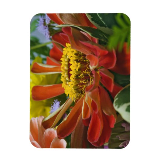 Chrysanthemumbloem Magneet (Verticaal)