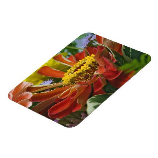 Chrysanthemumbloem Magneet (Linkerzijde)