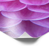 Chrysanthemumbloemdecoratie op graf in foto afdruk (Hoek)