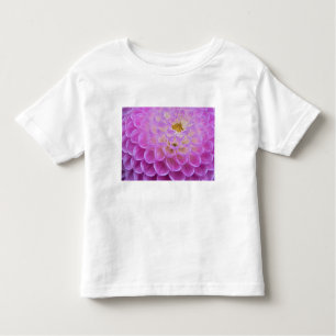Chrysanthemumbloemdecoratie op graf in kinder shirts