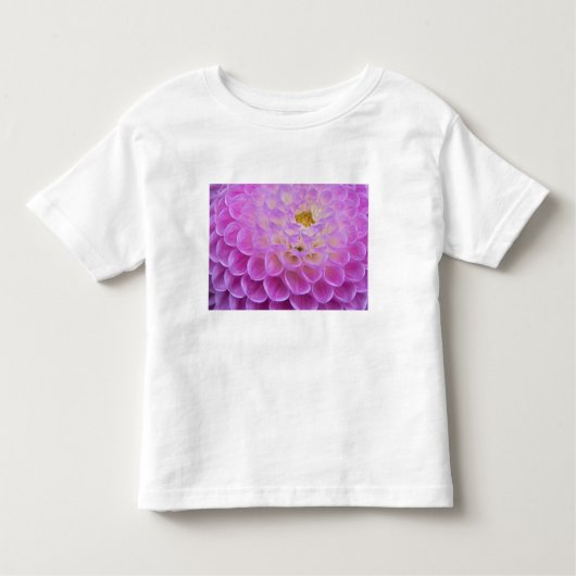 Chrysanthemumbloemdecoratie op graf in kinder shirts (Voorkant)