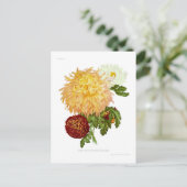 Chrysanthemums Briefkaart (Staand voorkant)
