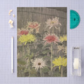 Chrysanthemums by Ogawa Kazumasa Tissuepapier (Craft)