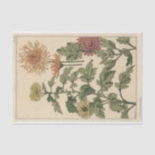 Chrysanthemums, Eugene Grasset's Botany-serie Tissuepapier (Voorkant)