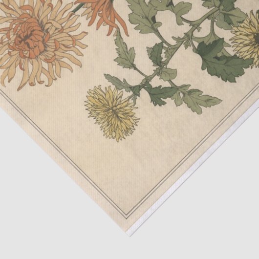 Chrysanthemums, Eugene Grasset's Botany-serie Tissuepapier (Detail)