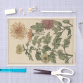 Chrysanthemums, Eugene Grasset's Botany-serie Tissuepapier (Craft)