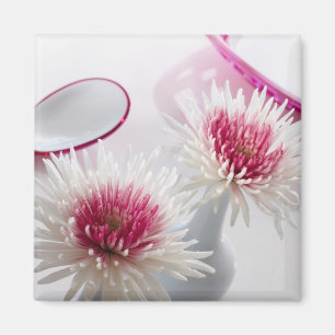 Chrysanthemums Magneet