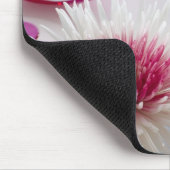 Chrysanthemums Muismat (Hoek)