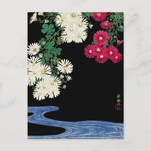 Chrysanthemums - Ohara Koson -  Japanse kunst Briefkaart (Voorkant)