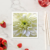 CHRYSANTHEMUMS SERVET (Insitu)