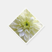 CHRYSANTHEMUMS SERVET (Hoek)