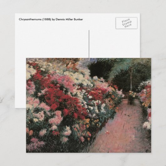 Chrysanthemums van Dennis Bunker Miller, Fine Art Briefkaart (Voorkant / Achterkant)