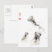 Chrysaora Jellyfish Briefkaart (Voorkant / Achterkant)