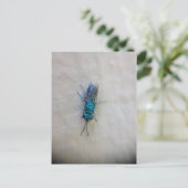 Chrysididae - Cuckoo wasp Briefkaart (Staand voorkant)