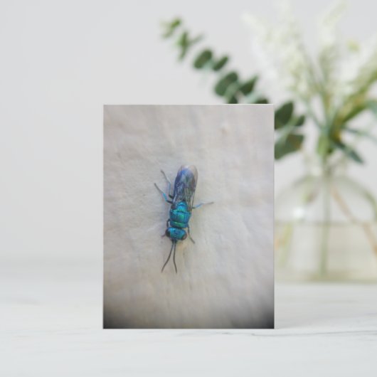 Chrysididae - Cuckoo wasp Briefkaart (Staand voorkant)